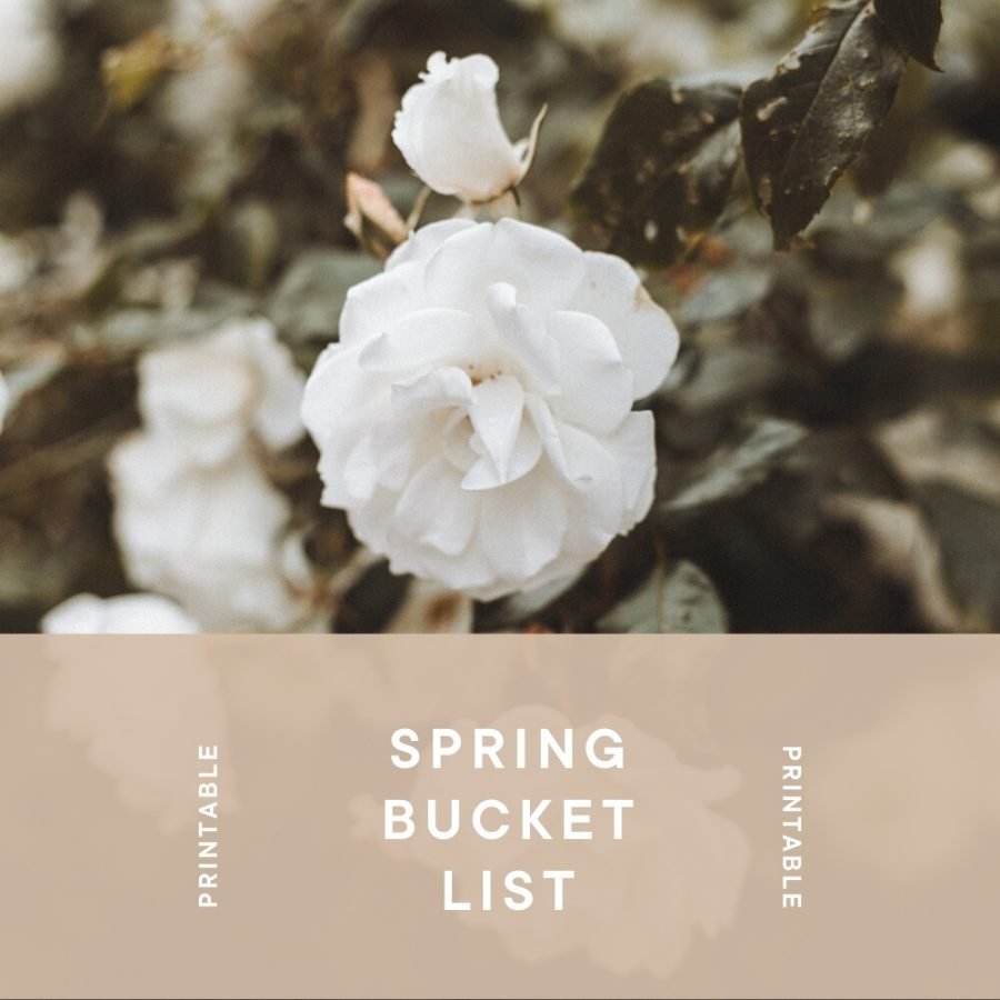 buy-spring-bucket-list
